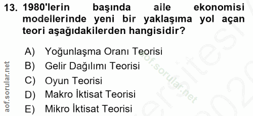 13. soru: 1980'lerin başında aile ekonomisi modellerinde yeni bir yaklaşıma yol açan teori aşağıdakilerden hangisidir? A) Yoğun…