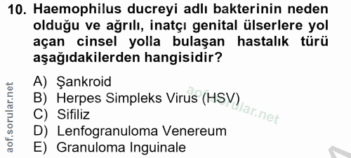 10. soru: Haemophilus ducreyi adlı bakterinin neden olduğu ve ağrılı, inatçı genital ülserlere yol açan cinsel yolla bulaşan ha…
