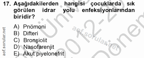 17. soru: Aşağıdakilerden hangisi çocuklarda SIk görülen idrar yolu enfeksiyonlarından biridir? A) Pnömoni "Pisol B) Difteri C)…