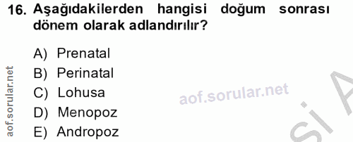16. soru: Aşağıdakilerden hangisi doğum sonrası dönem olarak adlandırılır? A) Prenatal B) Perinatal C) Lohusa D) Menopoz E) And…