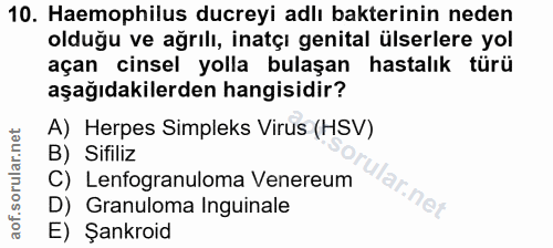 10. soru: Haemophilus ducreyi adlı bakterinin neden olduğu ve ağrılı, inatçı genital ülserlere yol açan cinsel yolla bulaşan ha…
