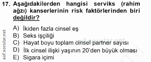 17. soru: Aşağıdakilerden hangisi serviks (rahim ağzı) kanserlerinin risk faktörlerinden biri değildir? A) İkiden fazla cinsel…