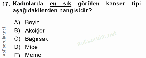17. soru: Kadınlarda en sık görülen kanser tipi aşağıdakilerden hangisidir? A) Beyin B) Akciğer C) Bağırsak D) Mide E) Meme