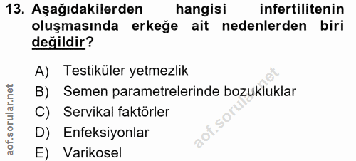 13. soru: Aşağıdakilerden hangisi infertilitenin oluşmasında erkeğe ait nedenlerden biri değildir? A) Testiküler yetmezlik B) S…