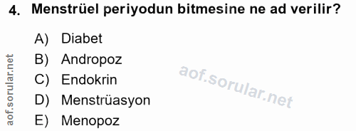 4. soru: Menstrüel periyodun bitmesine ne ad verilir? A) Diabet B) Andropoz C) Endokrin D) Menstrüasyon E) Menopoz