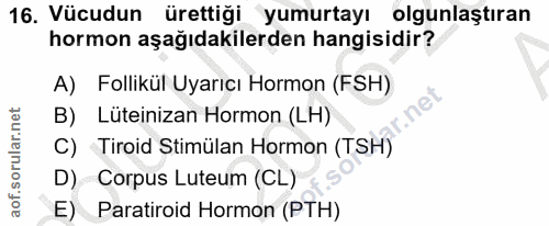 16. soru: Vücudun ürettiği yumurtayı olgunlaştıran hormon aşağıdakilerden hangisidir? A) Follikül Uyarıcı Hormon (FSH) B) Lütei…