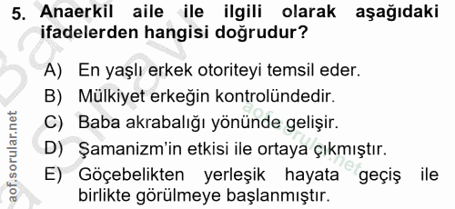 5. soru: Anaerkil aile ile ilgili olarak aşağıdaki ifadelerden hangisi doğrudur? A) En yaşlı erkek otoriteyi temsil eder. B) M…
