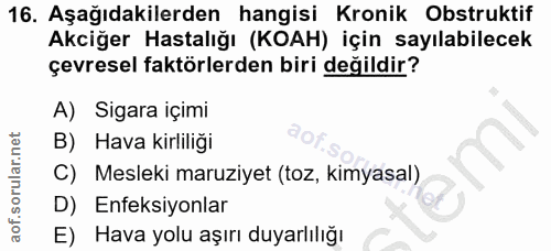 16. soru: Aşağıdakilerden hangisi Kronik Obstruktif Akciğer Hastalığı (KOAH) için sayılabilecek çevresel faktörlerden biri deği…
