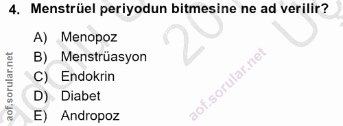 4. soru: Menstrüel periyodun bitmesine ne ad verilir? A) Menopoz B). Menstrüasyon C) Endokrin D) Diabet E) Andropoz