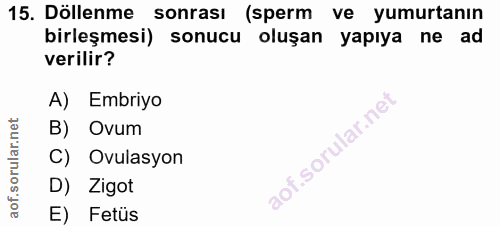 15. soru: Döllenme sonrası (sperm ve yumurtanın birleşmesi) sonucu oluşan yapıya ne ad verilir? A) Embriyo B) Ovum C) Ovulasyon…