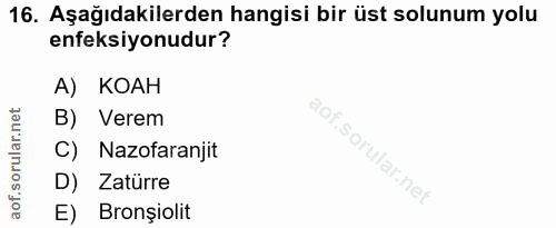 16. soru: Aşağıdakilerden hangisi bir üst solunum yolu enfeksiyonudur? A) KOAH B) Verem C) Nazofaranjit D) Zatürre E) Bronșiolit