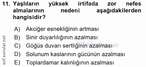 11. soru: Yaşlıların yüksek irtifada zor nefes almalarının nedeni aşağıdakilerden hangisidir? A) Akciğer esnekliğinin artması B…