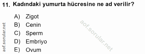 11. soru: Kadındaki yumurta hücresine ne ad verilir? A) Zigot B) Cenin Sperm D) Embriyo E) Ovum