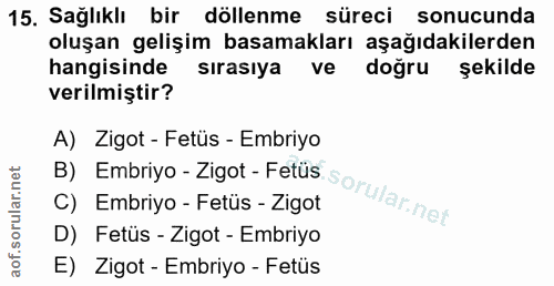 15. soru: Sağlıklı bir döllenme süreci sonucunda oluşan gelişim basamakları aşağıdakilerden hangisinde sırasıya ve doğru şekild…