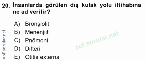20. soru: İnsanlarda görülen dış kulak yolu iltihabına ne ad verilir? A) Bronșiolit B) Menenjiit C) Pnömoni D) Difteri E) Otiti…