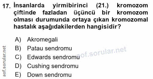 17. soru: İnsanlarda yirmibirinci (21.) kromozom çiftinde fazladan üçüncü bir kromozom olması durumunda ortaya çıkan kromozomal…