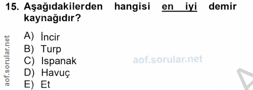 15. soru: Aşağıdakilerden hangisi en iyi demir kaynağıdır? A) Incir ar. B) Turp C) Ispanak aof. D) Havuç E) Et