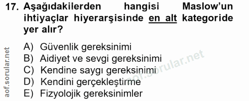 17. soru: Aşağıdakilerden hangisi Maslow'un ihtiyaçlar hiyerarşisinde en alt kategoride yer alır? A) Güvenlik gereksinimi B) Ai…