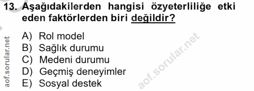 13. soru: Aşağıdakilerden hangisi özeterliliğe etki eden faktörlerden biri değildir? A) Rol model B) Sağlık durumu C) Medeni du…