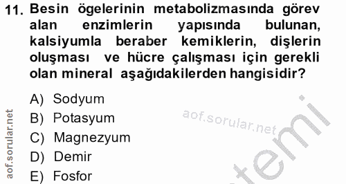 11. soru: Besin ögelerinin metabolizmasında görev alan enzimlerin yapısında bulunan, kalsiyumla beraber kemiklerin, dişlerin ol…