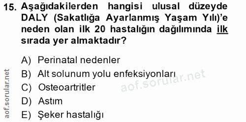 15. soru: Aşağıdakilerden hangisi ulusal düzeyde DALY (Sakatlığa Ayarlanmış Yaşam Yılı)'e neden olan ilk 20 hastalığın dağılımı…
