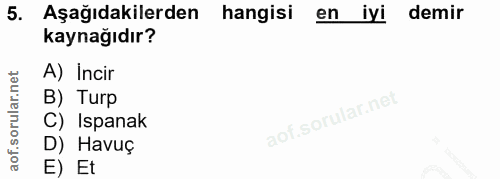 5. soru: Aşağıdakilerden hangisi en iyi demir kaynağıdır? A) Incir B) Turp C) Ispanak D) Havuç E) Et