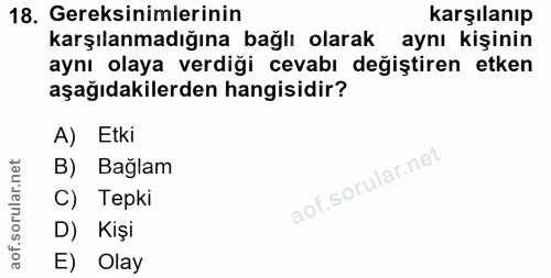 18. soru: Gereksinimlerinin karşılanıp karşılanmadığına bağlı olarak aynı kişinin aynı olaya verdiği cevabı değiştiren etken aş…