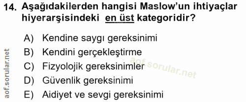 14. soru: Aşağıdakilerden hangisi Maslow'un ihtiyaçlar hiyerarşisindeki en üst kategoridir? A) Kendine saygı gereksinimi B) Ken…