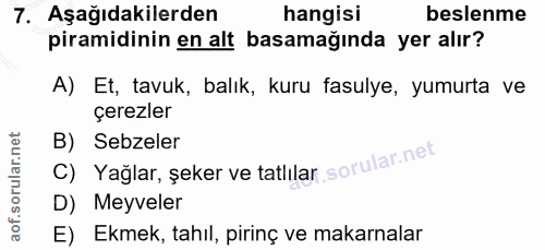 7. soru: Aşağıdakilerden hangisi beslenme piramidinin en alt basamağında yer alır? A) Et, tavuk, balık, kuru fasulye, yumurta…