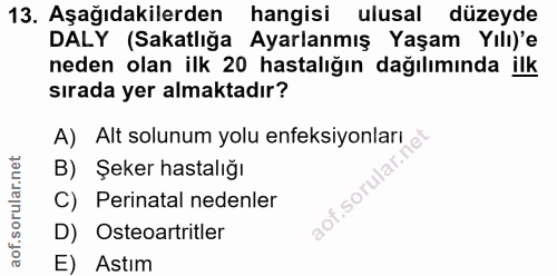 13. soru: Aşağıdakilerden hangisi ulusal düzeyde DALY (Sakatlığa Ayarlanmış Yaşam Yılı)'e neden olan ilk 20 hastalığın dağılımı…
