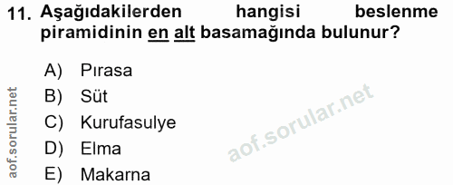 11. soru: Aşağıdakilerden hangisi beslenme piramidinin en alt basamağında bulunur? A) Pirasa B) Süt C) Kurufasulye D) Elma E) M…