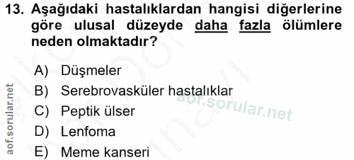 13. soru: Aşağıdaki hastalıklardan hangisi diğerlerine göre ulusal düzeyde daha fazla ölümlere neden olmaktadır? A) Düşmeler B)…