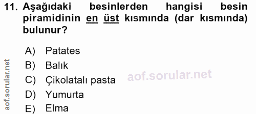 11. soru: Aşağıdaki besinlerden hangisi besin piramidinin en üst kısmında (dar kısmında) bulunur? A) Patates B) Balık C) Çikola…