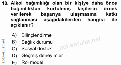 18. soru: Alkol bağımlılığı olan bir kişiye daha önce bağımlılıktan kurtulmuş kişilerin örnek verilerek başarıya ulaşmasına kat…
