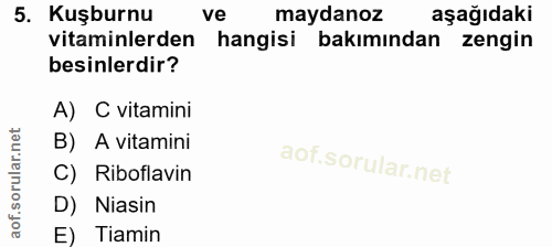 5. soru: Kuşburnu ve maydanoz aşağıdaki vitaminlerden hangisi bakımından zengin besinlerdir? A) C vitamini B) A vitamini C) Ri…