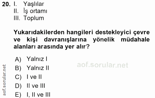 20. soru: I. Yaşlılar II. İş ortamı III. Toplum Yukarıdakilerden hangileri destekleyici çevre ve kişi davranışlarına yönelik mü…