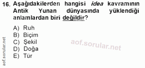 16. soru: Aşağıdakilerden hangisi idea kavramının Antik Yunan dünyasında yüklendiği anlamlardan biri değildir? A) Ruh B) Biçim…