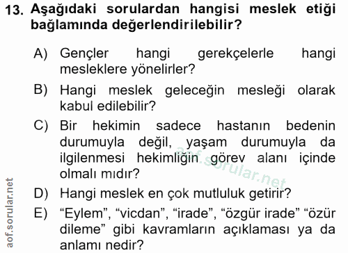 13. soru: Aşağıdaki sorulardan hangisi meslek etiği bağlamında değerlendirilebilir? A) Gençler hangi gerekçelerle hangi meslekl…