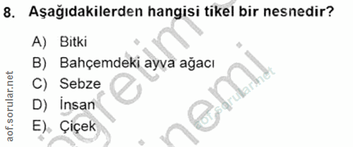 8. soru: Aşağıdakilerden hangisi tikel bir nesnedir? A) Bitki B) Bahçemdeki ayva ağacı C) Sebze D) insan E), Çiçek