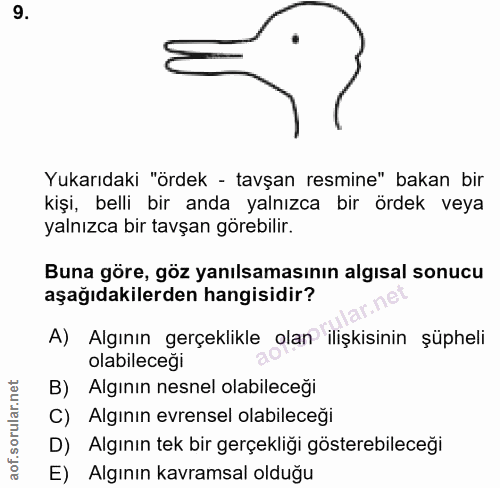 9. soru: Yukarıdaki "ördek - tavşan resmine" bakan bir kişi, belli bir anda yalnızca bir ördek veya yalnızca bir tavşan görebi…