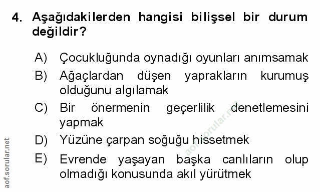 4. soru: Aşağıdakilerden hangisi bilişsel bir durum değildir? A) Çocukluğunda oynadığı oyunları anımsamak B) Ağaçlardan düşen…