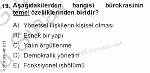 19. soru: 19, Aşağıdakilerden hangisi bürokrasinin teme! özelliklerinden biridir? A) Yönetsel ilişkilerin kişisel olması B) Esn…