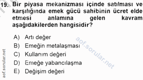 19. soru: Bir piyasa mekanizması içinde satılması ve karşılığında emek gücü sahibinin ücret elde etmesi anlamına gelen kavram a…