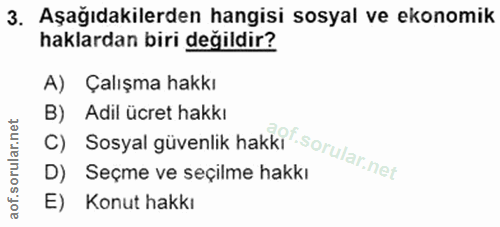 3. soru: Aşağıdakilerden hangisi sosyal ve ekonomik haklardan biri değildir? A) Çalışma hakkı C) Sosyal güvenlik hakkı • B) Ad…