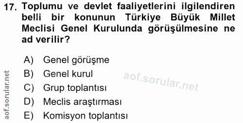 17. soru: Toplumu ve devlet faaliyetlerini ilgilendiren belli bir konunun Türkiye Büyük Millet Meclisi Genel Kurulunda görüşülm…