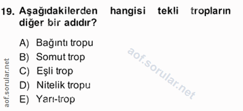 19. soru: Aşağıdakilerden hangisi tekli tropların diğer bir adıdır? A) Bağıntı tropu B) Somut trop C) Eşli trop D) Nitelik trop…