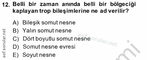 12. soru: Belli bir zaman anında belli bir bölgeciği kaplayan trop bileşimlerine ne ad verilir? A) Bileşik somut nesne B) Yalın…
