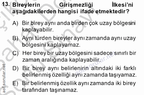 13. soru: Bireylerin Girişmezliği Ilkesi'ni aşağıdakilerden hangisi ifade etmektedir? A) Bir birey aynı anda birden çok uzay bö…