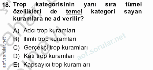 18. soru: Trop kategorisinin yani sıra tümel özellikleri de temel kategori sayan kuramlara ne ad verilir? A) Adcı trop kuramlar…