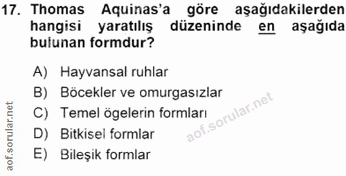 17. soru: Thomas Aquinas'a göre aşağıdakilerden hangisi yaratılış düzeninde en aşağıda bulunan formdur? A) Hayvansal ruhlar B)…